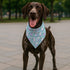 YJIKRTVT Easter Dog Bandana, Cute Bunny & Egg Triangle Pet Scarf, Spring Holiday Puppy Bib with Carrot and Flower