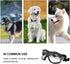Pet Goggles - Eye Protective Glasses for Medium or Large Dog, Anti-UV, Windproof, Waterproof (Transparent)