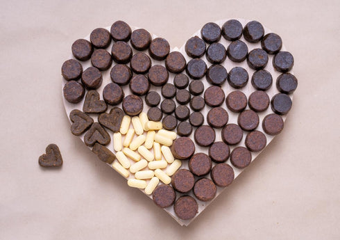 Dr. Jeff Werber Body Boost Multivitamin for Dogs - Heart Shaped Soft Chews with Omega Fatty Acids, 60 ct.