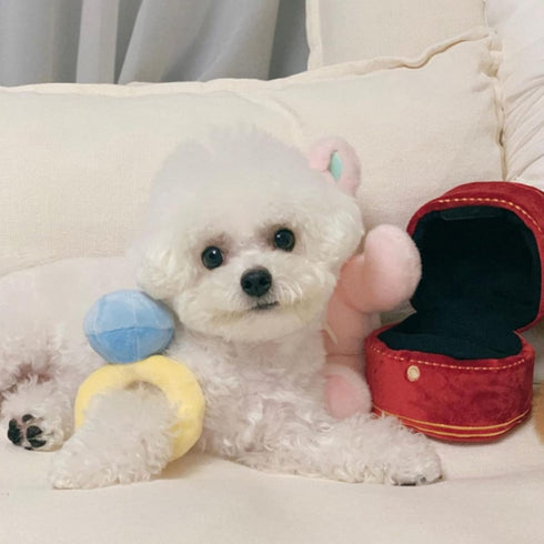 BEIDUOYANG Dog Squeaky Toys, Dog Toys, Squeaky Stuffed Engagement Shape Dog Chew Toy Soft Cleaning Massage Supplies Pet