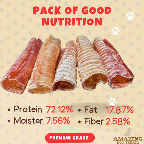 Amazing Dog Treats - 6 Inch Beef Trachea Chews (20 pcs - 32 oz) - Digestible and Safe Chews for Joint Health