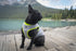 Truelove Dog Cooling Vest Harness Cooler Jacket with Adjustable Zipper for Outdoor Training, Hunting, and Camping