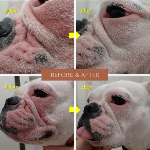 Wrinkle Rub for Bulldog, French Bulldog, Pug, English Bulldog, Cleans & Soothes Wrinkles, Folds, Tear Stains, Anti-Itch