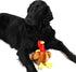 Midlee Large Thanksgiving Turkey Dog Toy - Stuffed Squeaky Pet Toy