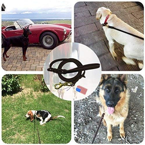 Premier 6ft Leather Dog Training Leash for Hunting Dogs or Obedience - Great Christmas Dog Gifts