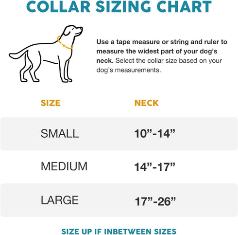 Embark Urban Dog Collar – Dog Collar Stylish & Durable Nylon Dog Collar for Large Dogs, Small Dogs & Medium Dogs.Comfortable Pet Collar Strong Buckles for Any Size Breed |Puppy Collars|
