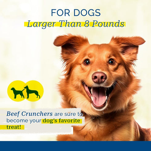 Pet Center, Inc Beef Crunchers: 100% Beef Lung Training Treats for Dogs - Premium Quality Natural Single Ingredient 7 oz