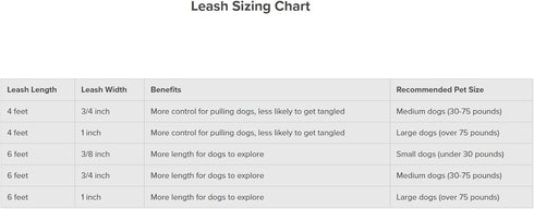 PetSafe Nylon Dog Leash, Red 1" x 6' - Strong, Durable, Traditional Style with Easy to Use Bolt Snap