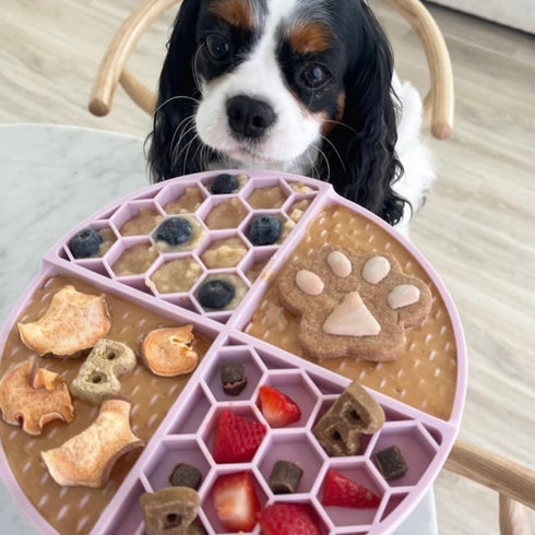 BUDDY BUDDER Pumpkin Pup + Ruff Ruff Raw Red Dog Enrichment Mat Combo, 100% All Natural Peanut Butter, Healthy Treats