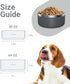 Stainless Steel Dog Bowls for Small Dogs, 40 Ounces/5 Cup Dog Food and Water Bowl, Double Wall Weighted Dog Dish, Rustproof Metal Pet Bowls with Non Slip Silicone Base