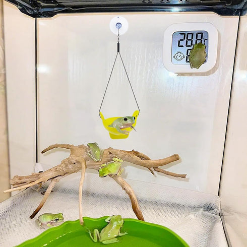 2 Pack Amphibian Aquatic Frogs Habitats with Suction Cup for Small Aquatic Animals