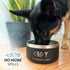 Coldest Dog Bowl, Anti Rust Metal & Non Slip, Heavy Duty Insulated Dog Bowl, 42 oz