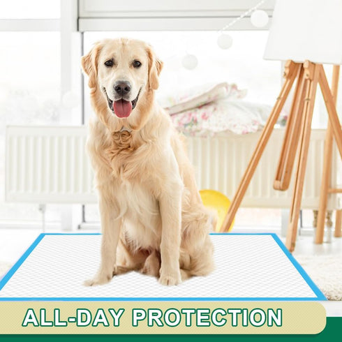 IMMCUTE 22"x23" 100 Count 6-Layer Puppy Pads | Leak-Proof & Super Absorbent Dog Training Pads | Disposable Potty Pads