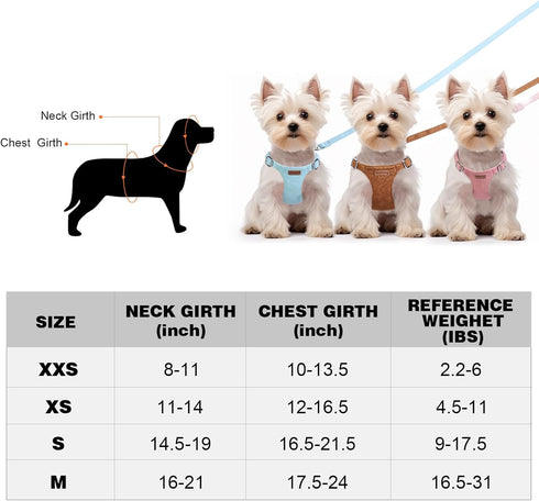 XXS Dog Harness and Leash Set, Adjustable No Pull Puppy Harness with Multifunction Brown Leash & Collar for Small Dogs