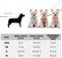 XXS Dog Harness and Leash Set, Adjustable No Pull Puppy Harness with Multifunction Brown Leash & Collar for Small Dogs