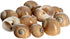 Hermit Crab Shells | Turbo Shells | 12 Natica Lineata Shells 3/4"-