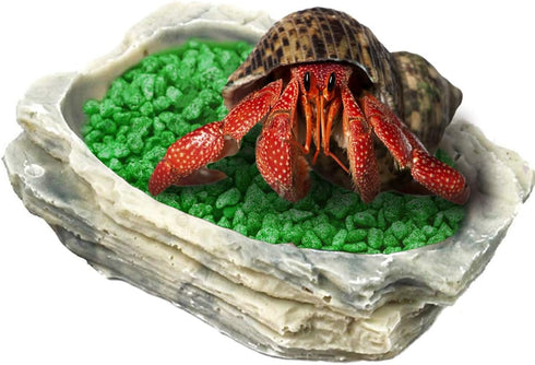 SunGrow Small Hermit Crab Feeding Bowl, Durable Multifunctional Decor for Turtle, Gecko, Ball Python