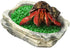 SunGrow Small Hermit Crab Feeding Bowl, Durable Multifunctional Decor for Turtle, Gecko, Ball Python