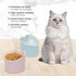 Heart Shaper Ceramic Elevated Cat Bowls, Anti Vomit Raised Cat Bowls, Microwave Safe Pet Accessories for Small Cats