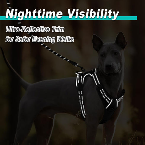 BARKBAY Dog Harness No Pull for Small Dogs - Adjustable, Reflective, Comfortable, Heavy-Duty, Black