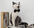 ZTON Handcrafted Adjustable Formal Pet Bowtie Collar Neck Tie for Dogs & Cats (L, Black)
