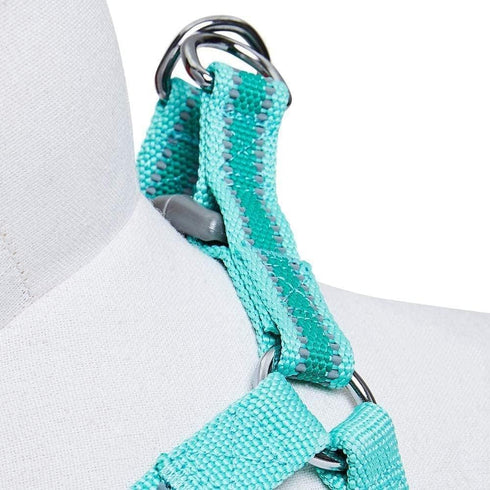 Blueberry Pet Essentials Step-in Reflective Dog Harness, Minty Green, Adjustable Small Harness for Dogs, Chest Girth