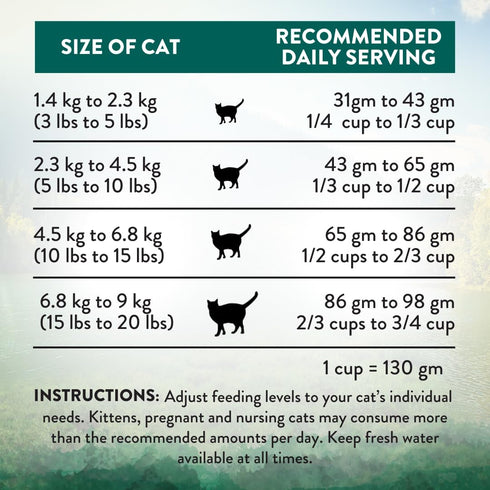 Addiction Wild Islands Island Bird Premium Duck Turkey & Chicken Dry Cat Food, 4 lb