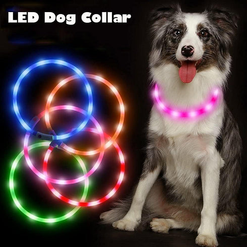 BSEEN Light Up Dog Collar, Silicone LED Rechargeable Glowing Puppy Collar, Pink