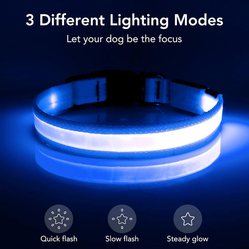 Vizpet LED Dog Collar - Adjustable USB Rechargeable Light Up Safety Glowing Collar for Dogs (Large, Blue)