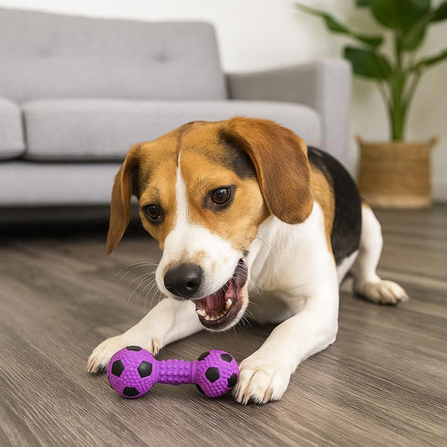SPOT Stuffed Latex Soccer Ball Dumbbell Dog Toy, 6in Durable Chew Toy for Small & Medium Dogs