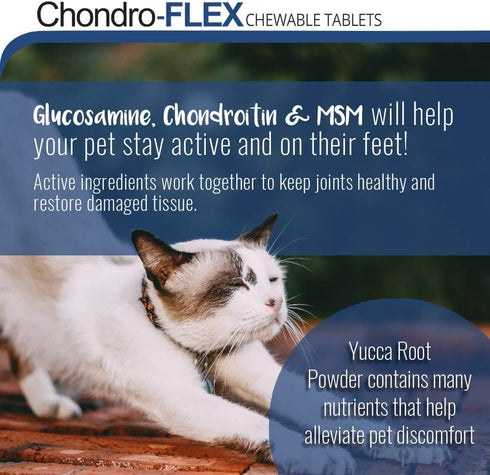 Chondro-Flex, Powerful Joint Care Formula for Dogs and Cats, 180 Chewable Tablets