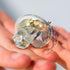Generic Large Hermit Crab Shells | Hermit Crab Habitat - Glass Large Clear Reptiles Crustaceans Conch Habitat Ornaments