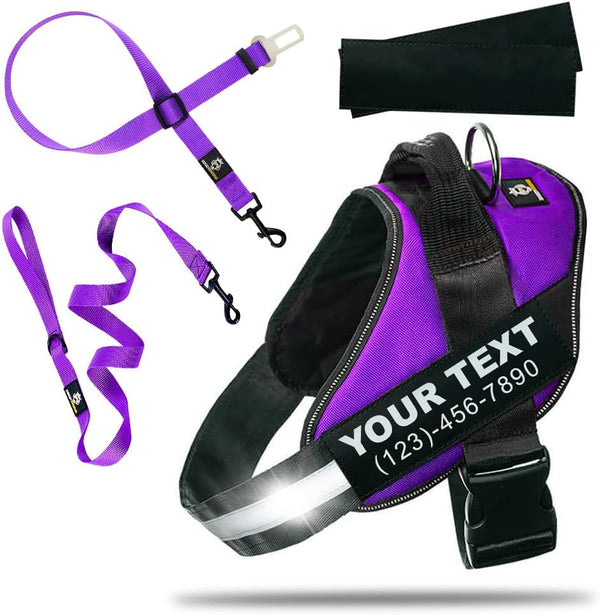 DOGGYKINGDOM Personalized Dog Harness and Leash Set with Seat Belt for Car,
