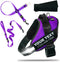DOGGYKINGDOM Personalized Dog Harness and Leash Set with Seat Belt for Car,