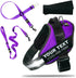 DOGGYKINGDOM Personalized Dog Harness and Leash Set with Seat Belt for Car,