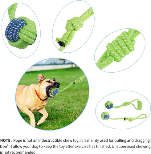 Outdoor Hanging Bungee Dog Toy - Interactive Tug Toy with 2 Chew Rope Toys for Small to Large Dogs, Best for Tug of War