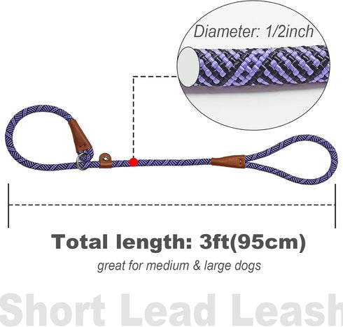 3 FT Dog Leash Slip Lead, 1/2 inch Rope Walking and Training Leash, Strong Nylon for Medium and Large Dogs (Purple)