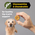 Field Master Healthy Hip & Joint Chicken & Sweet Potato Recipe Grain-Free Dog Biscuits, 12 oz.