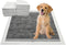 Puppy Pee Pads, 22 x 22 Inch 100 Count, Charcoal Dog Wee