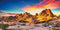 YongFoto Reptile Terrarium Background 30x18 inch, Desert Rocky Bush Thorns Western Wilderness Habitat Background