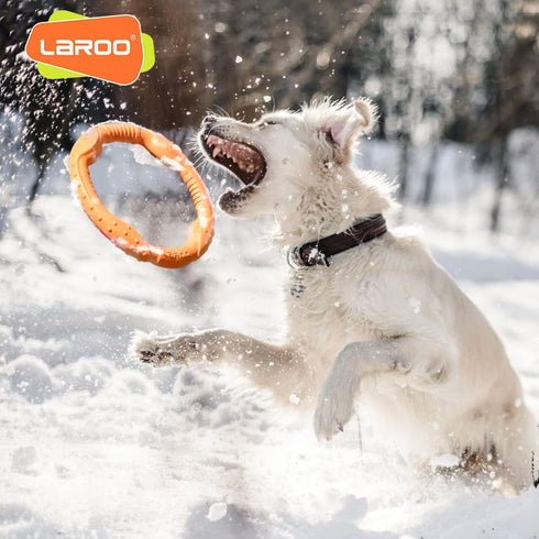 LaRoo Floating Flying Dog Disc Toys, Summer Pet Training Outdoor Chew Toys for Medium and Large Dogs (Large Orange/30cm)