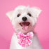 Elegant Pink Plaid Dog Collar with Bow Tie - Stylish Durable Adjustable Cotton Pet Collar for Small Medium Large Girls,
