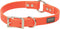 Terrain D.O.G. Brahma Webb Hunting Dog Collar, Blaze Orange, 3/4" x 15"