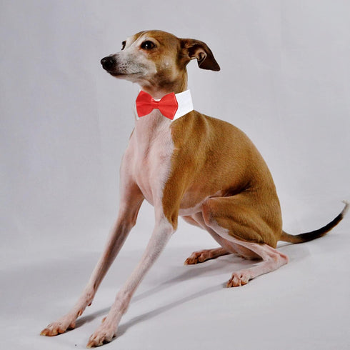 KOOLMOX Red Tuxedo Dog Bow Ties for Large Dogs, Adjustable White Collar Formal Pet Necktie for Small Medium Large