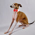 KOOLMOX Red Tuxedo Dog Bow Ties for Large Dogs, Adjustable White Collar Formal Pet Necktie for Small Medium Large