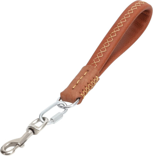 Guiding Star Short Leather Dog Leash, Traffic Leash for Large Medium Dogs, Training and Walking (12"*3/4", Orange)