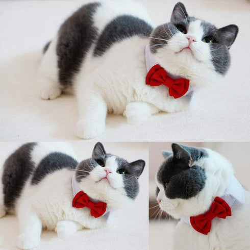 Selected Adjustable Dog Bow Tie - Puppy Pet Costume Collar, Formal Bowtie for Dogs & Cats, Red
