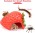 DQITJ 1 Pack Hermit Crab Hiding House Cute Strawberry Shape Rest Hideout Climbing Cave Habitat Decoration for Hermit
