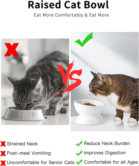 Elevated Cat Water Bowl, 16 OZ Ceramic Dish, 15° Tilted Anti Vomiting Pet Food Bowl for Spines and Whisker Fatigue