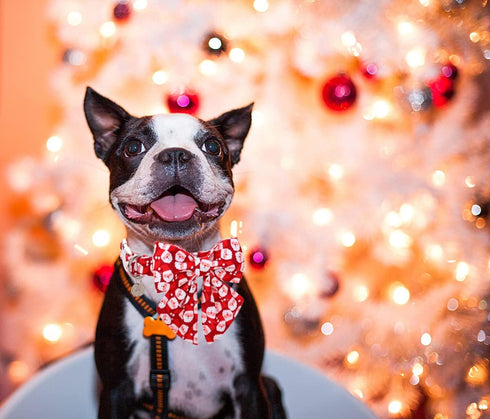 DOGWONG Christmas Dog Collar with Sailor Bow, Soft Durable Adjustable Cotton for Small Medium Large Dogs